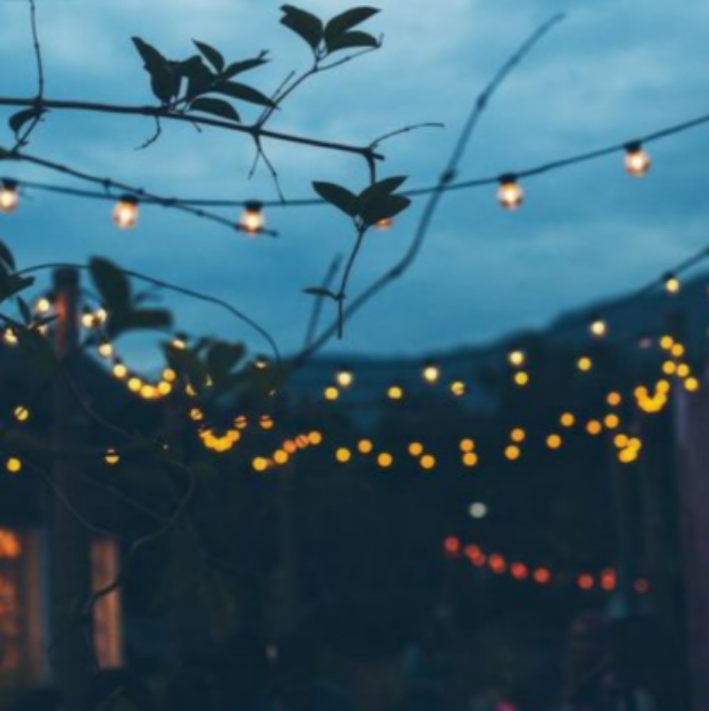 Meet your Posher, Kipsey